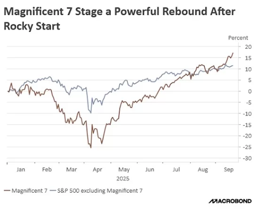 Magnificent 7 Stage Powerful Rebound