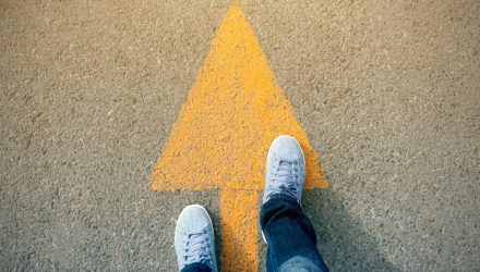 Which Bond Strategies May Offer the Best Path Forward