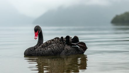 This ETF Keeps Your Portfolio From Singing Its SWAN Song