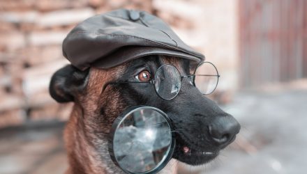 *Interested in International Stocks? Investigate IDOG