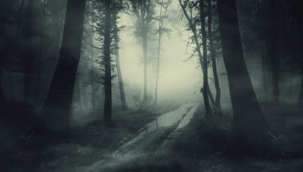 Weekly Market Update - Week of October 10: Macro Fog Deepens, Bitcoin Holds the High Ground