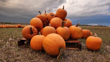 "October Effect" & ETF Investors’ Insatiable Appetite for Risk 