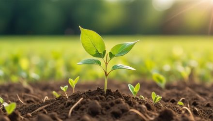 Do You Really Know What Your Growth ETF Owns?