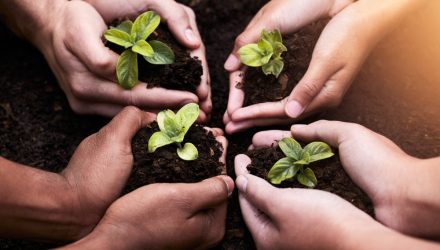 Growth Long Game: Different ETF Ways to Ride Outperformance
