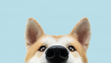 Dividend Dogs ETFs Show Geographic Performance Split