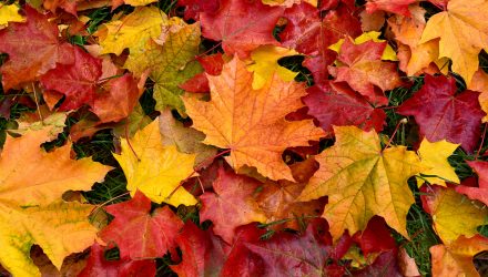 International ETFs Saw $22B in October Net Flows