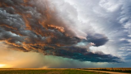 Volatile Markets Make For Perfect "Direxion Weather," Says CEO
