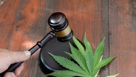 Marijuana ETFs Look to Supreme Court Legalization