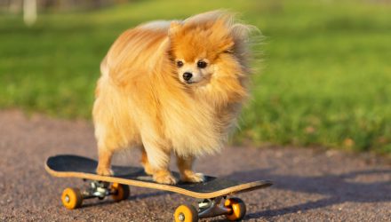 Dividend Dogs ETF Refreshes U.S. Portfolio in Annual Rebalance