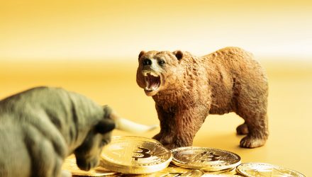 Bull vs. Bear: Are Crypto ETFs the New Portfolio Staple or a Fad?
