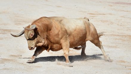 Decoding the Bull Case for Small Caps