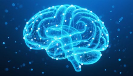 The Brain: From Black Box to Engineering Problem