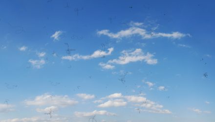 Floaters May Be Fantastic Alternative to T-Bills