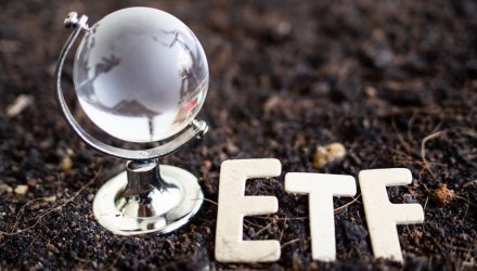 American Century International, Value ETFs Draw Investor Interest