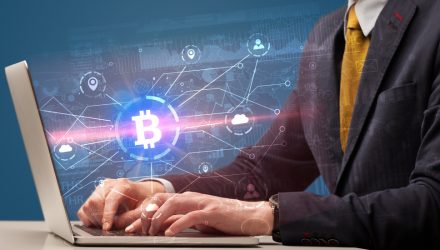 Bitcoin ETF Holders Stay Steady Through Q4 Price Decline