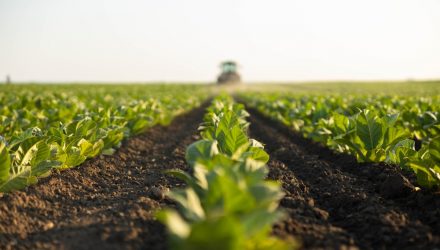 Agriculture Leads Commodity Rally as CCNR Gains 18% YTD