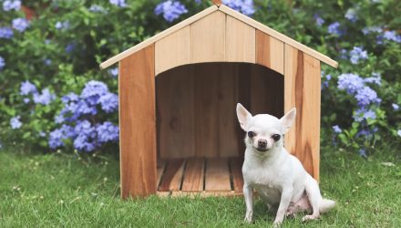 REIT M&A Activity Drives Strong Week for Dividend Dogs ETF