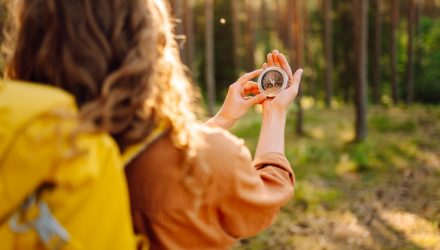 Navigate the New Financial Landscape With BCFN