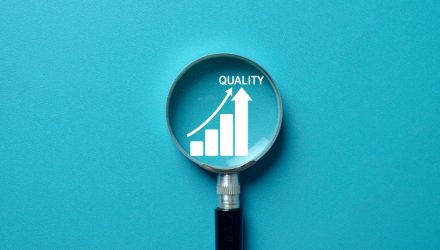 Which Stocks Are Driving Results in Quality Growth ETF QGRO?