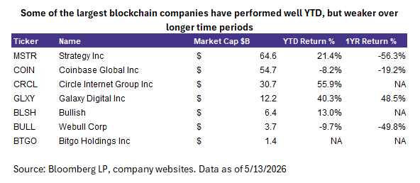 blockchain companies ytd vs over longer time