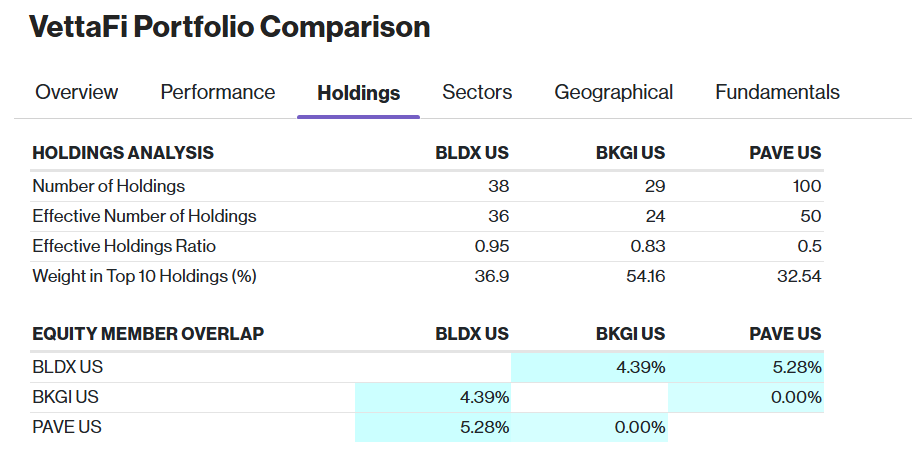 BLDX-BKGI-PAVE Holdings analysis