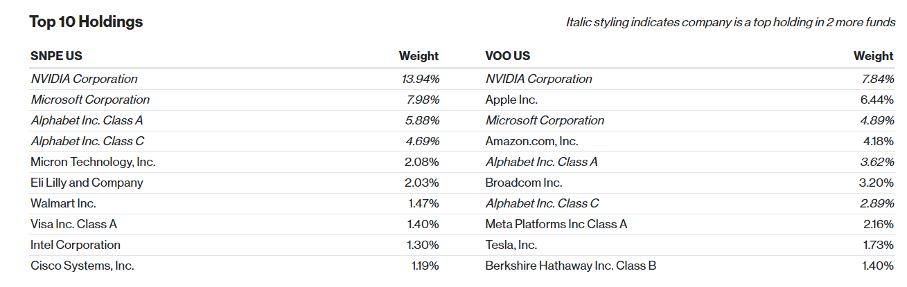 SNPE vs VOO Top 10