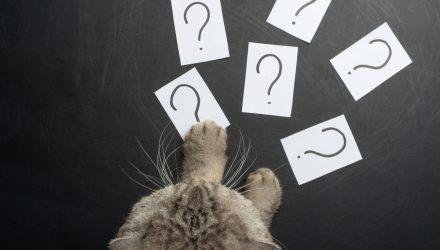 Are There Too Many ETFs?