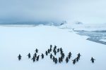 Repricing, Not Retreating: The Strategic Migration to CLOs