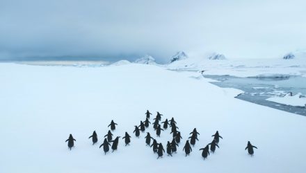 Repricing, Not Retreating: The Strategic Migration to CLOs