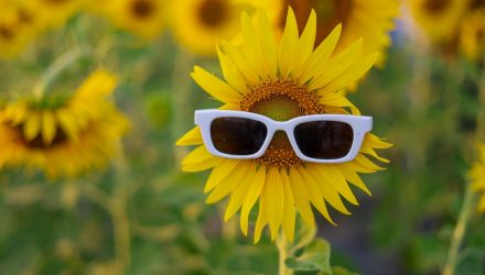 Municipal Bond ETFs Face Headwinds Despite Early Year Strength