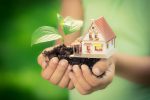 Green Shoots Emerging in the Real Estate Sector