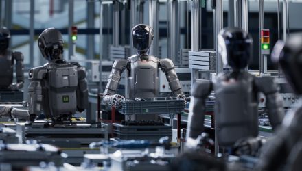 Investing in the Exponential Humanoid Wave