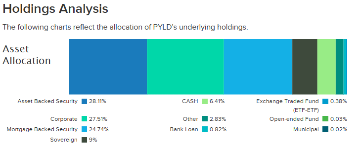 PYLD holdings analysis