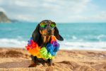 The Q2 Flowdown: ETFs Smash Records to Start Summer