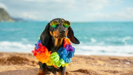 The Q2 Flowdown: ETFs Smash Records to Start Summer