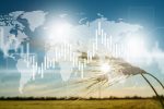 From Field to Shelf: The ETF Response to Volatile Food Prices