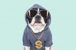 SDOG: The High Dividend ETF With More Perks