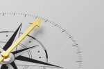 Actively Navigate Shifting Growth in EM With FFEM