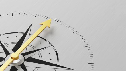 Actively Navigate Shifting Growth in EM With FFEM