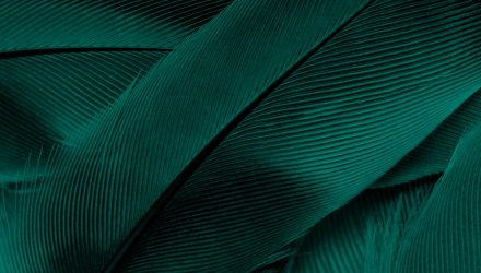 Predicting What Could Move This Robinhood ETF