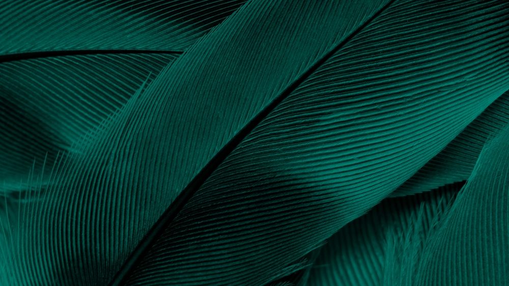 Predicting What Could Move This Robinhood ETF | ETF Trends
