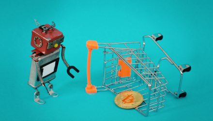 Cryptocurrencies: Bitcoin Down 33% at Mid-Year 2026