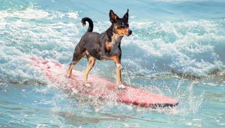 REIT ETF RDOG Rides M&A, Refinancing Wave to 22% Gain