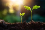 Active ETF TSPA Doubles AUM YTD Amid Growing Attention