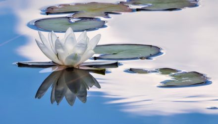 4 Floating-Rate ETFs That Should Top Your List