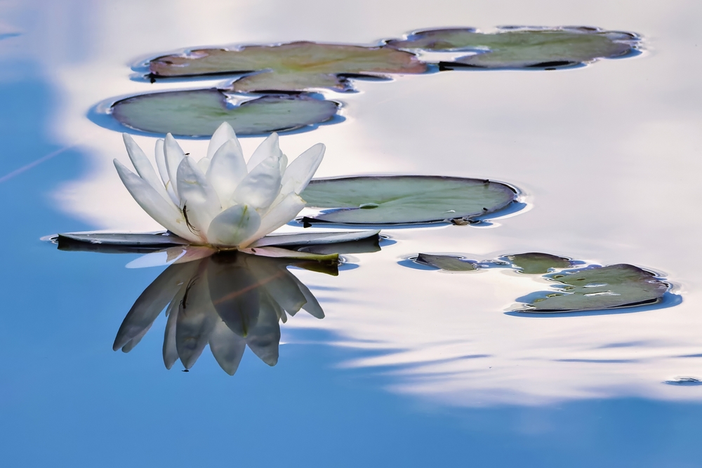 4 Floating-Rate ETFs That Should Top Your List | ETF Trends