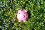 Avert Interest Rate Jitters With This Cash ETF