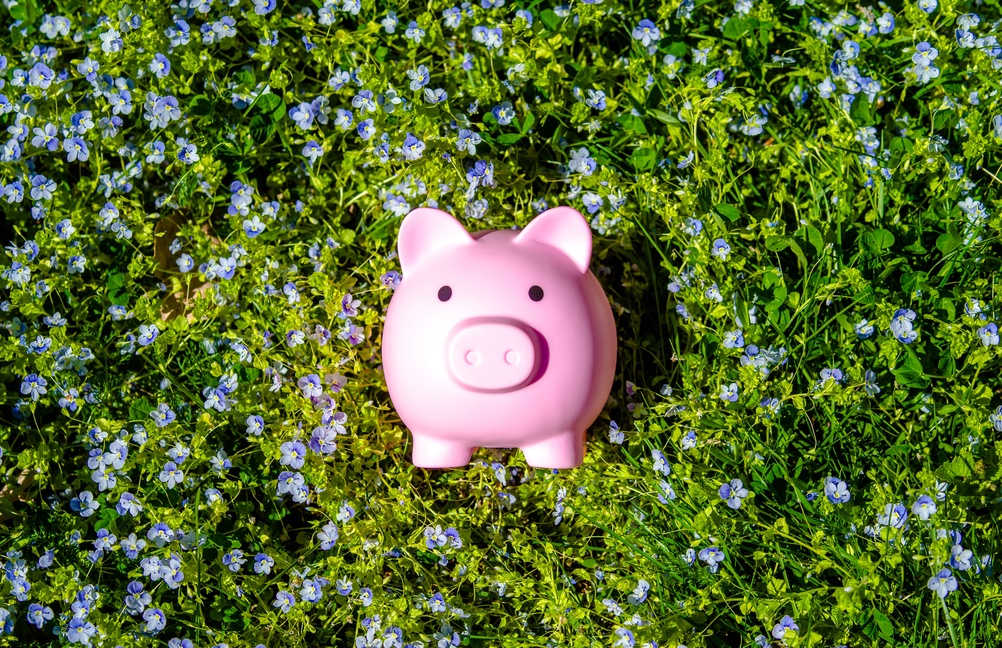 Avert Interest Rate Jitters With This Cash ETF | ETF Trends